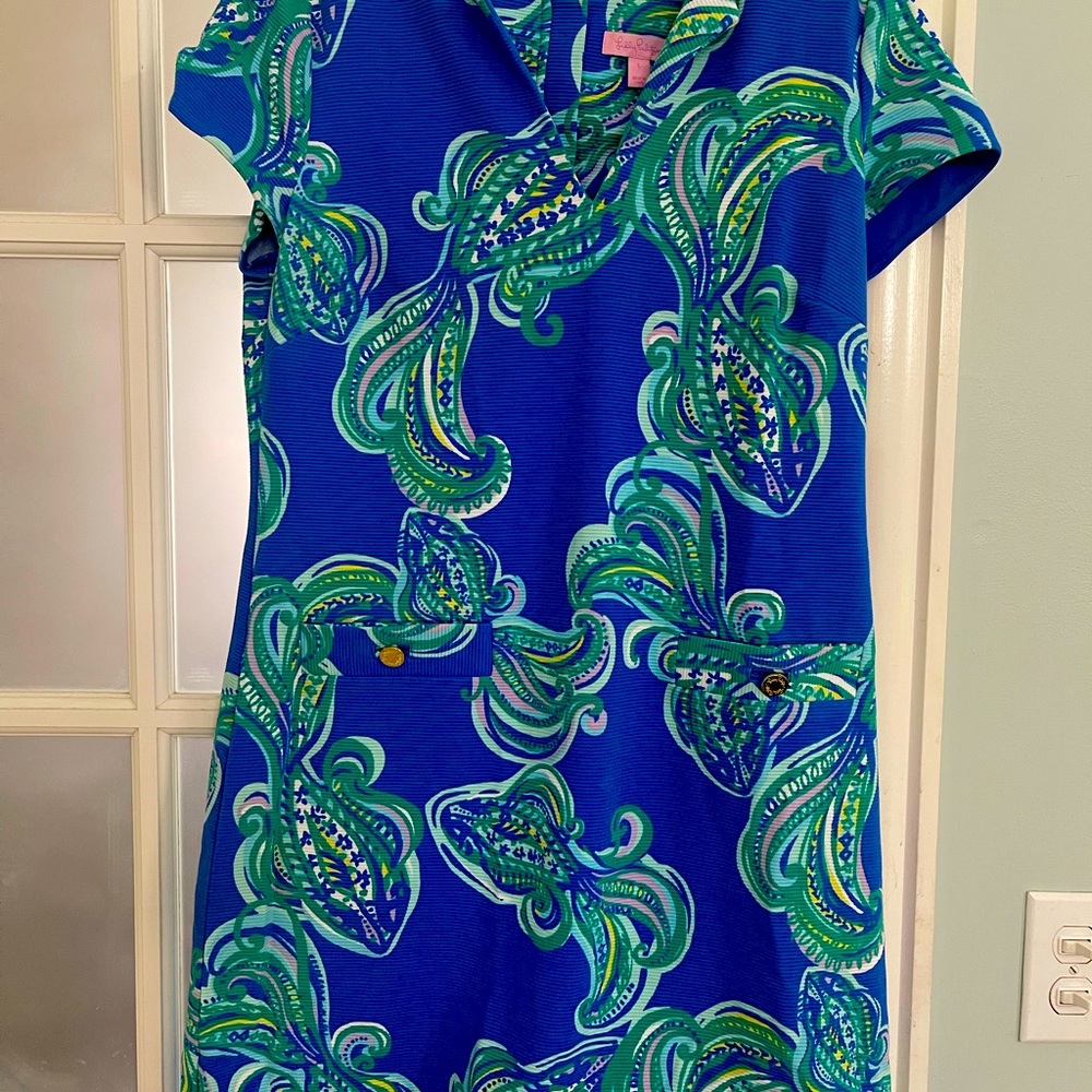 Lily Pulitzer Fall dress size L